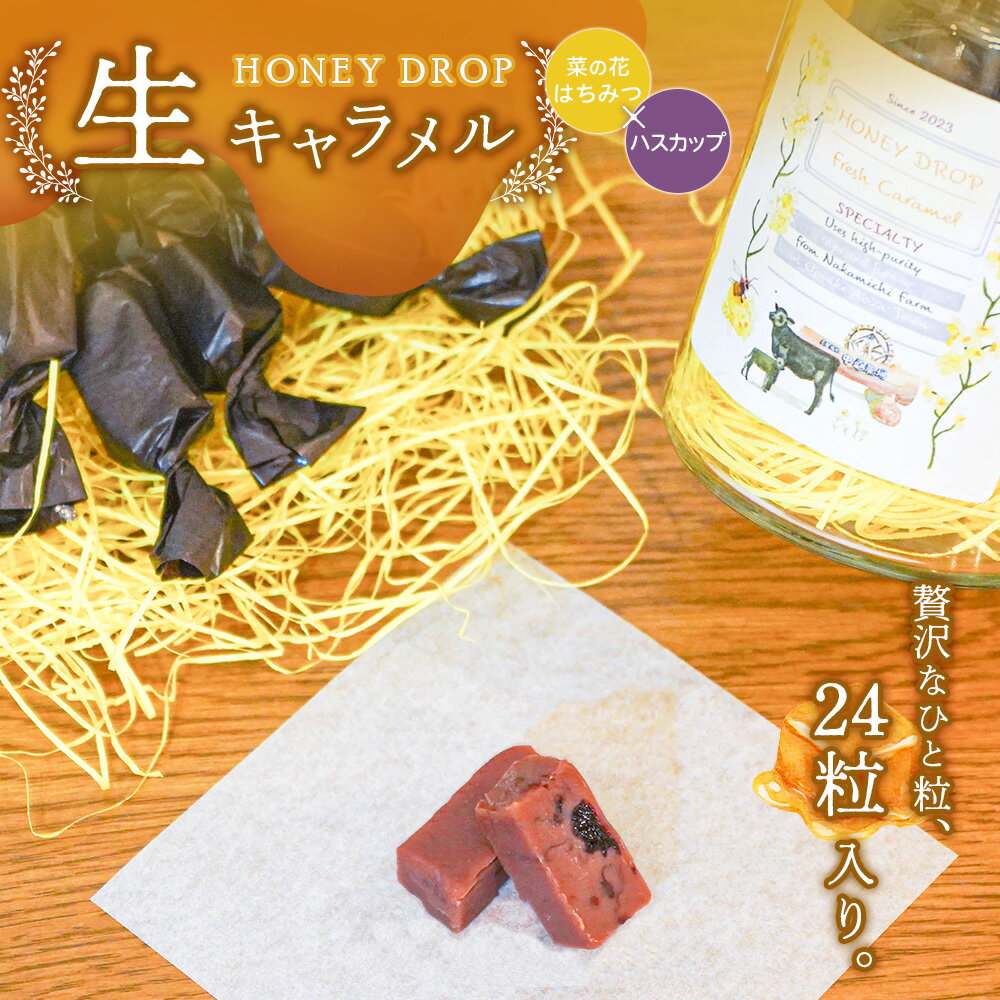 【ふるさと納税】【HONEY DROP】菜の花はちみつ生キャラメル(ハスカップ) 2ダース（24粒入り） | 生キャラメル キャラメル フルーツキャラメル ハスカップキャラメル 濃厚 贅沢 お菓子 スイーツ ご当地スイーツ お取り寄せ 北海道 恵庭市 恵庭【75000201】
