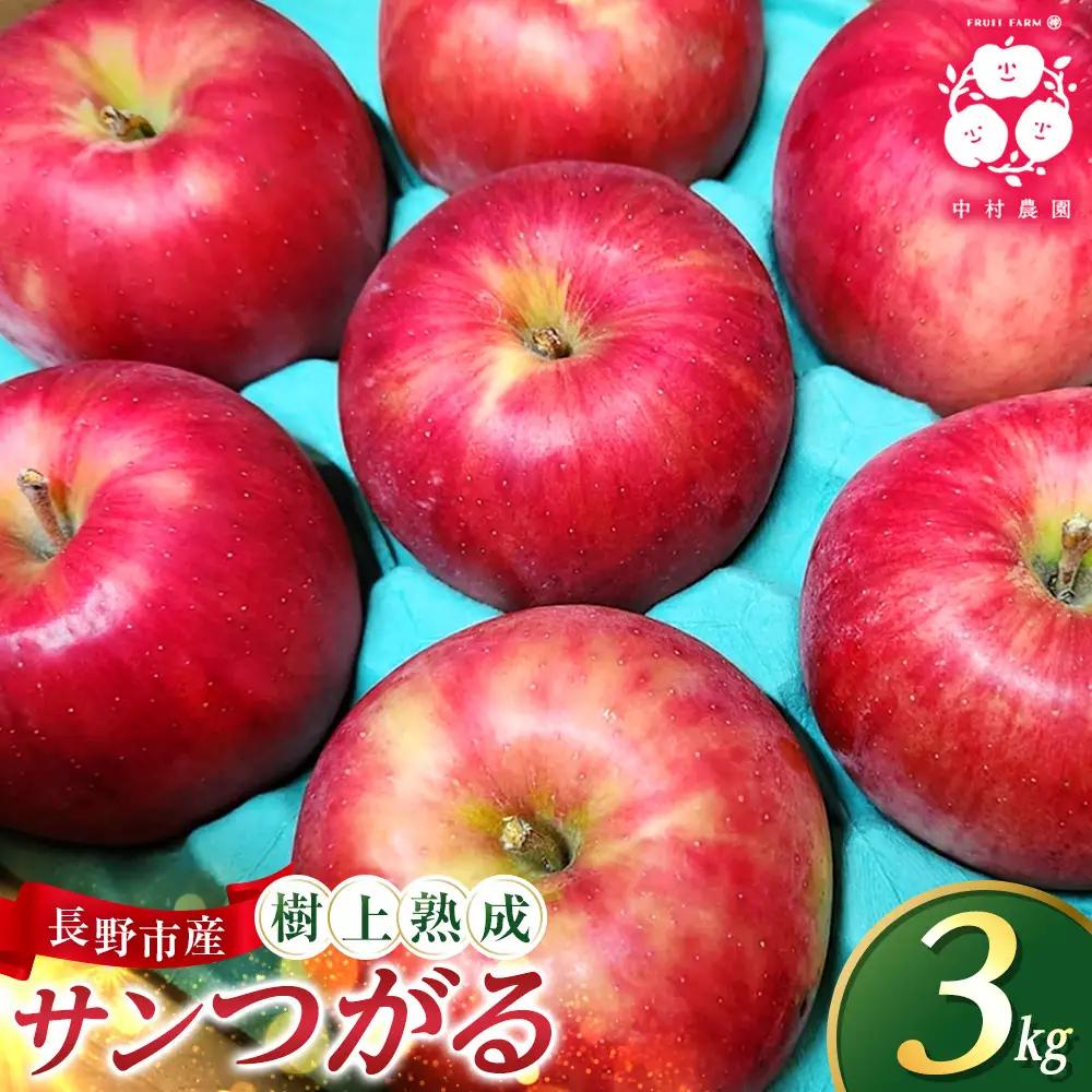 フルーツファーム中村農園　【8月下旬発送 先行予約】樹上熟成　サンつがる 3kg | りんご サンつがる