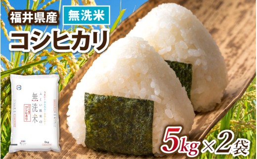 【選べる容量】令和7年産 福井県産コシヒカリ【無洗米 5kg×2袋】 / 米 こめ お米 コメ ごはん ご飯 飯 七年 7年産 5kg 10kg 1袋 2袋 無洗米 白米 単一米 ブランド [B-014023]
