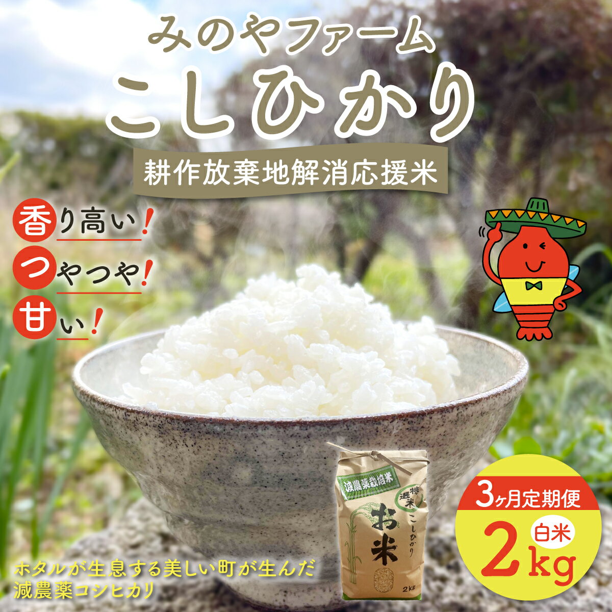 【ふるさと納税】【3ヶ月定期便】令和8年産 こしひかり 選べる2kg 3kg 5kg（白米） みのやファーム 耕作放棄地解消応援米 【 コシヒカリ こしひかり おいしい お米 米 こめ 自然栽培 贈り物 ギフト 千葉県 御宿町 人気 おすすめ ランキング 】 ONJF007