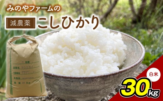 みのやファームの減農薬こしひかり 30kg(白米)【コシヒカリ こしひかり おいしいお米 自然栽培 贈り物 ギフト 千葉県 御宿町 人気 おすすめ ランキング】ONJF014