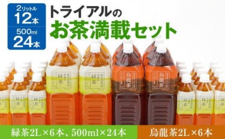 お茶 ペットボトル トライアルのお茶満載セット 緑茶2L×6本・烏龍茶2L×6本・緑茶500ml×24本 飲料 ペットボトル お茶 ペットボトル 緑茶 烏龍茶 ウーロン茶 ペットボトル お茶 ペットボトル