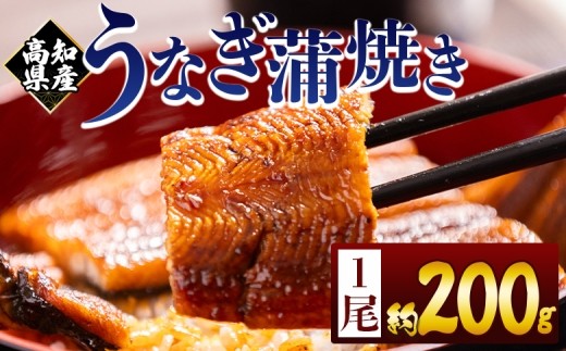 
                  【うなぎ】蒲焼 200g 選べる [1尾/2尾/3尾/4尾/5尾〜] 真空パック タレ 付き 国産 うなぎ 鰻 【ウナギ】 蒲焼 魚 魚介 魚貝 海鮮 うな重 ひつまぶし 蒲焼 ギフト 人気 国産 おすすめ 国産 うなぎ蒲焼 うなぎ 鰻 ウナギ うなぎ unagi うなぎ蒲焼 鰻蒲焼き 国産 人気 蒲焼 かば焼き 【うなぎ蒲焼 国産 うなぎ unagi 鰻 ウナギ うなぎ蒲焼】 Tfb-0205
                
