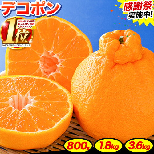 みかん 好き必見 ご家庭用 デコポン 生産量日本一 熊本 県産 約 3.6kg （約9‐18玉前後） 柑橘 個別光センサー選果 柑橘 フルーツ 旬 不知火 でこぽん ご家庭用 早期予約 《2024年1月下旬-4月末頃出荷》
