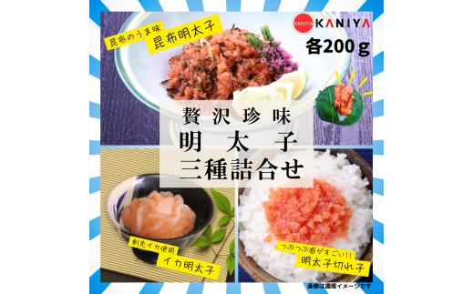 明太子 計 600g 辛子明太子 切れ子 昆布明太子 いか明太子 各 200g セット めんたいこ いかめんたい きれ子 ご飯 お供 蟹屋 KNY-ME-200gmix 下関 山口