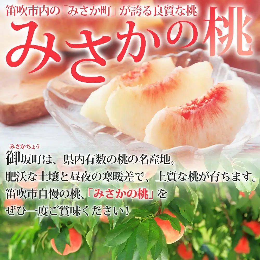 【2026年発送★先行予約】桃 秀品 3kg 糖度10％以上 ※クール便配送 177-005-26y