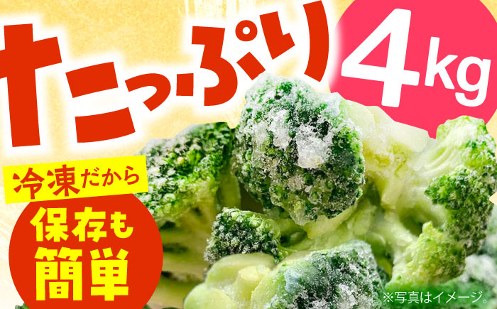 たっぷり 冷凍 ブロッコリー 4kg（1kg × 4袋） / 南島原市 / 池田海陸物産 [SEW008]