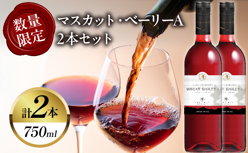 【数量限定】マスカット・ベーリーA 2本セット_T014-0545【人気 ギフト 飲料 食品 お酒 お土産 限定品 贈り物 送料無料 プレゼント  ワイン 酒 飲料 アルコール 国産】