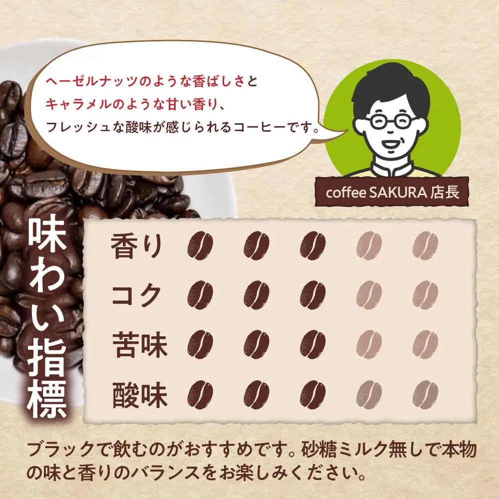 【全12回定期便】ブルーマウンテンNo.1　コーヒー豆　200g×3個 (豆)  / コーヒー  ドリップ  豆 / Coffee SAKURA[BBAB081]