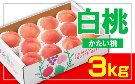 ☆フルーツ王国山形☆白桃 秀品 3kg [かたい桃] 【令和7年産先行予約】FS23-824 くだもの 果物 フルーツ 山形 山形県 山形市 2025年産
