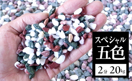 スペシャル 五色 2分 （6～9ｍｍ） 20kg 袋 庭石 砂利 石材 ガーデニング DIY 兵庫県 洲本市 淡路島