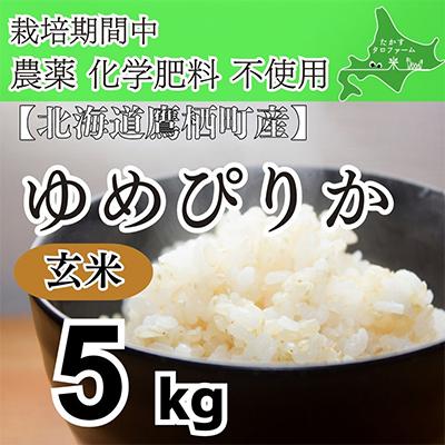 ふるさと納税 鷹栖町 栽培期間中農薬不使用　令和7産 ゆめぴりか【玄米】5kg(紙袋)