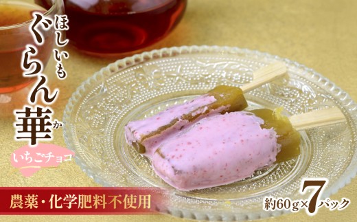 干し芋 紅はるか (いちごチョコ)7パック ギフト箱入り 茨城県産【ほしいも ぐらん華】| ほしいも ホシイモ 干し芋 ほし芋 干しいも さつまいも おやつ 紅はるか 小分け チョコ チョコレート いちご 詰め合せ アソート 贈答 ギフト 茨城県 ひたちなか市