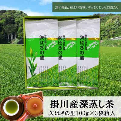 ふるさと納税 掛川市 新茶 「矢はぎの里」100g×3本箱入り 掛川市産深蒸し茶 旨いっ!茶農家直送こだわりの味