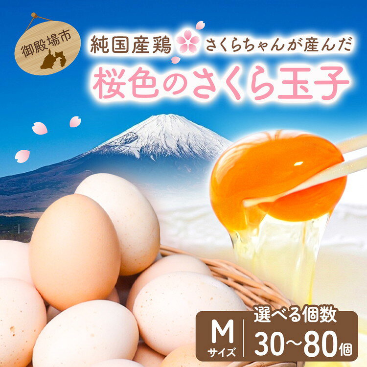 【ふるさと納税】【選べる容量】純国産鶏さくらちゃんが産んだ桜色のさくら玉子 五分咲き（Mサイズ） 30個 40個 50個 60個 80個 | 卵 鶏卵 たまご タマゴ 生卵 たまごかけご飯 濃厚 甘み 国産 寄附額 10000 10000円 1万円 以下 以内