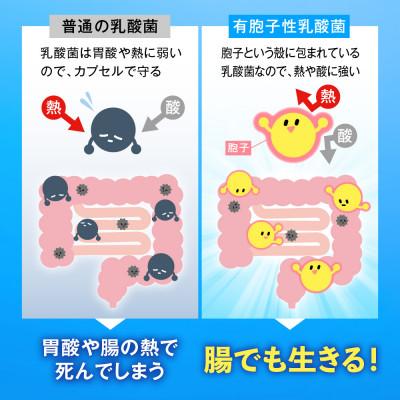 ふるさと納税 静岡市 便秘傾向者の便通を改善する 乳酸菌サプリメント ラクトデル 機能性表示食品 1袋 約30日分 |  | 03