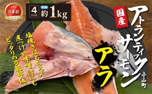 日本初 完全陸上養殖 小山町産 アトランティックサーモン 冷凍 アラ4パック 約1kg | サーモン アトランティックサーモン さーもん 小分け 真空パック 人気 おすすめ ランキング リピート 国産 大容量 静岡県 小山町