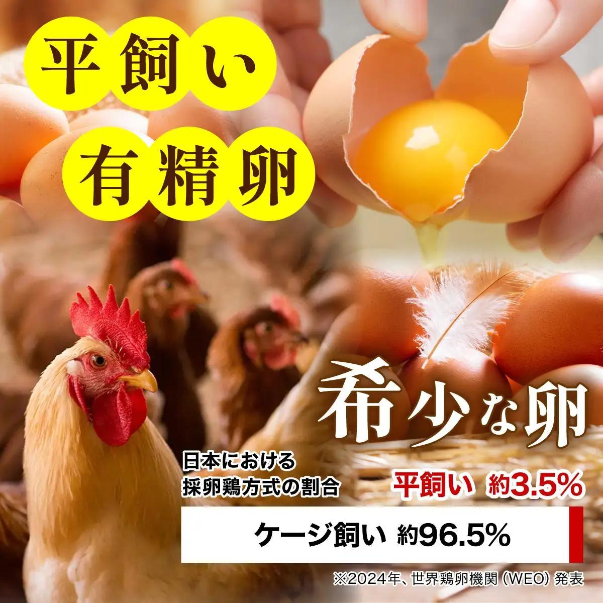  鮮度AA級の世界最高ランク！金太郎卵 平飼い たまご 60個（6個×10パック）