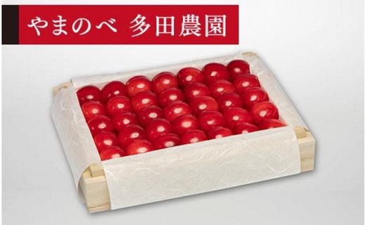 《2026年先行予約》【特選佐藤錦】桐箱詰 約300g【やまのべ多田耕太郎のさくらんぼ 多田農園】期間限定 数量限定 F4A-0033