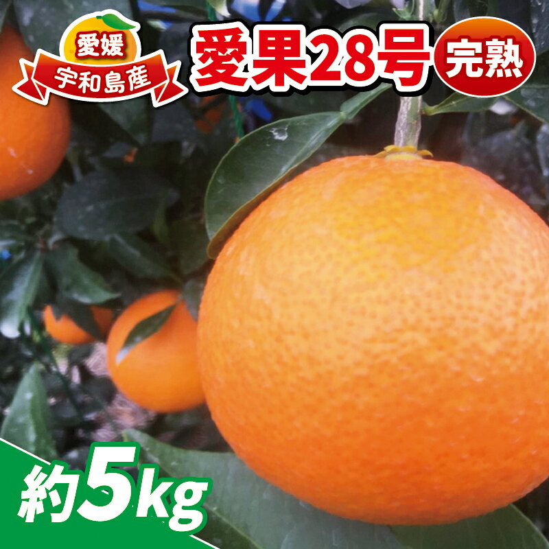 【ふるさと納税】 愛果28号 5kg 完熟みかん 先行予約 家庭用 南予ファーム 高級 ブランド 愛媛県産 限定 品種 完熟蜜柑 愛媛みかん 愛媛蜜柑 愛媛ミカン みかん mikan 甘い ゼリー 果物 くだもの フルーツ 柑橘 農家直送 産地直送 数量限定 国産 愛媛 宇和島 B025-082001