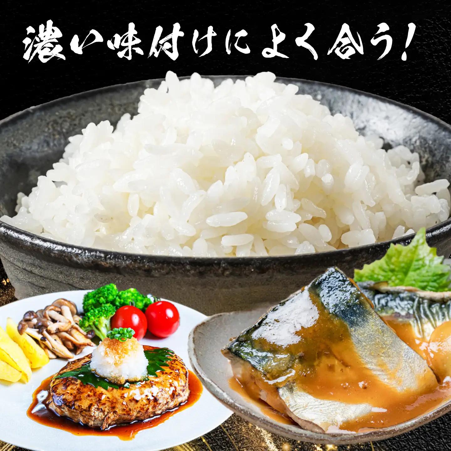 コシヒカリ 白米 10kg [AECP022-1] コシヒカリ