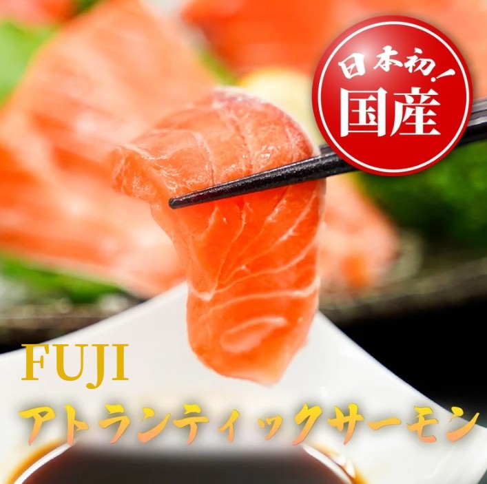 【ふるさと納税】【日本初】国産 アトランティックサーモン 合計 約600g〜約1.1kg | 冷凍 冷蔵 選べる 容量 FUJI ATLANTIC SALMON 今話題の 養殖 サーモン 魚 刺身 小分けパック 便利 静岡県 小山町 送料無料
