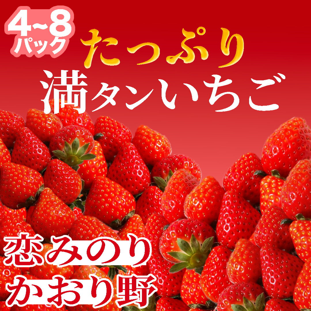 【ふるさと納税】【2026年3月から5月発送予定】たっぷり 満タンいちご （約230g×4パック 約230g×8パック）恋みのり、かおり野　から厳選（小粒～中粒） 送料無料 みなみのいちご園 いちご 恋みのり かおり野 生いちご イチゴ 苺 甘い 静岡 果物 フルーツ 南伊豆町産