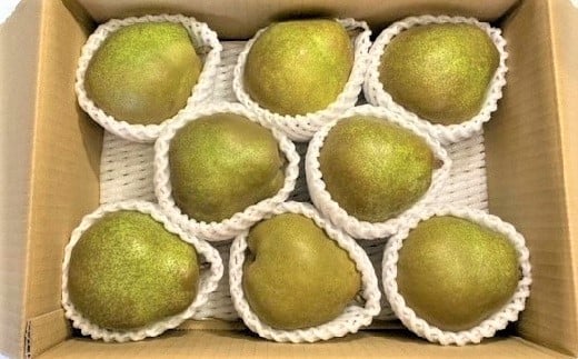 西洋梨（ラ・フランス）３ｋｇ　ご家庭用　0126-2502