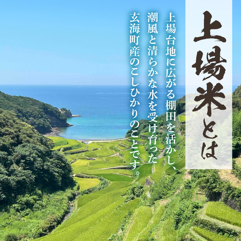 佐賀県玄海町産こしひかり 上場米 6kg ／ コシヒカリ こしひかり 米 お米 精米 白米 ご飯 棚田 上場米 数量限定 佐賀県 玄海町 常温 白米 6kg