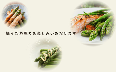 【先行予約】「飯山産新鮮アスパラ」Lサイズ10束(1束3〜5本)1kg（7-A7)