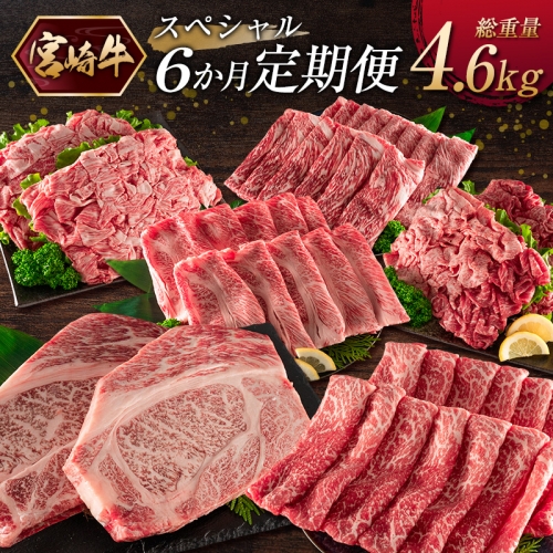 《お楽しみ 6種》［宮崎牛］スペシャル 6か月定期便 総重量4.6kg【F107】
