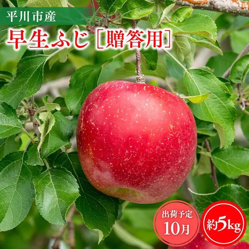 りんご 贈答用 早生ふじ5kg りんご