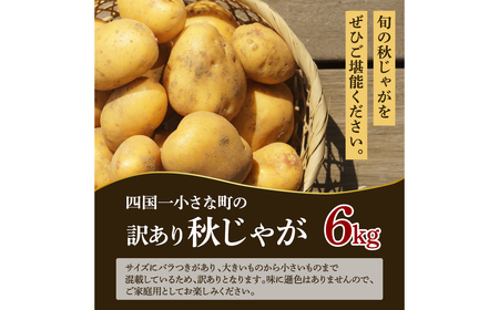 【四国一小さなまちのじゃがいも】★令和５年１２月中旬発送開始★ 大野台地で採れた『 令和５年産 秋じゃが 』 ６ｋｇ　～ 訳あり ～