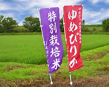 【定期便4回】北海道奈井江町　特別栽培米　ゆめぴりか　10kg【無洗米】