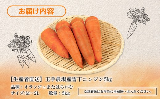 【先行予約】（生産者直送）玉手農場産雪下ニンジン5kg