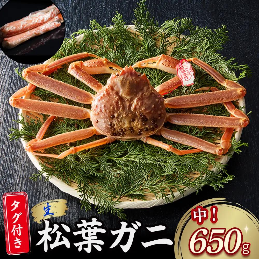 【先行予約】【魚倉】タグ付き 生 松葉ガニ （中650g） かに 蟹 カニ