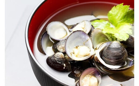 ぷっくり大きな身！食べて美味しい！神西湖産大和しじみ【1-019】