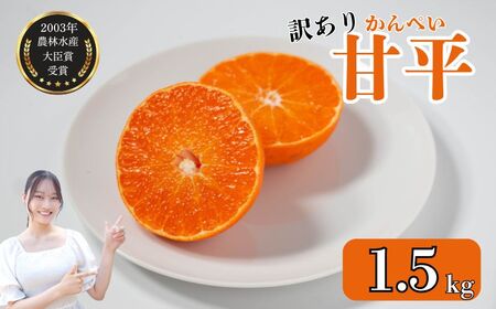 【甘平】【2026年2月頃から発送予定】甘平(かんぺい) 訳あり 約1.5kg 吉本農園