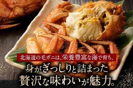 【北海道根室産】毛がに600g前後×1尾 B-21006