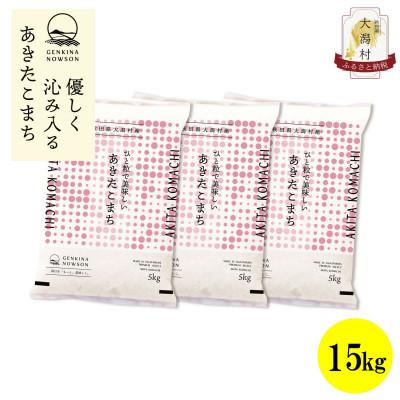 ふるさと納税 大潟村 【毎月定期便】秋田県産あきたこまち無洗米15kg(5kg×3)全3回