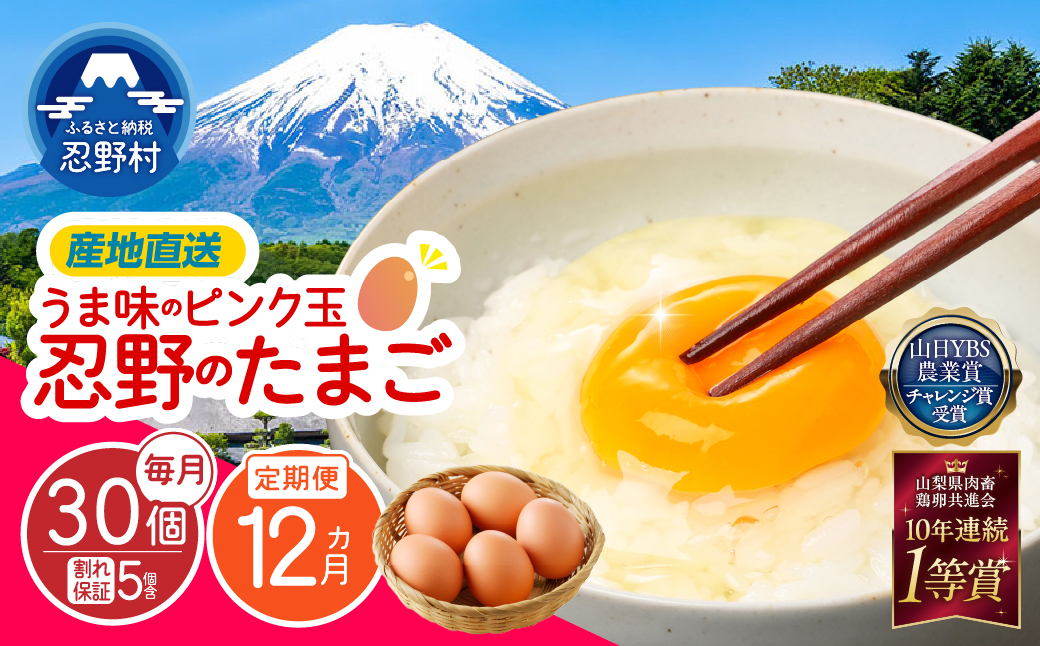 【12ヶ月定期便】”忍野の卵”旨味のピンク玉　※卵25個+割れ保証5個　計360個