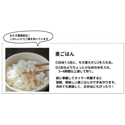 【2026年8月から発送】キラリもち麦 約4kg (約1kg×4袋)