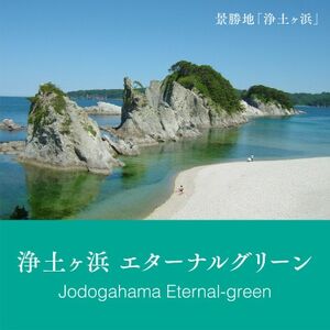 岩手県宮古市シティカラー 「浄土ヶ浜のいいイロ」万年筆インク 20ml【1278527】