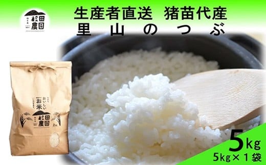 
                  【令和7年度産】 米 里山のつぶ 5kg 白米 精米 | 米 こめ ごはん 5キロ 国産米 ブランド米 福島県産 農家直送 産地直送 生産者直送 杉田農園 おにぎり 家庭用 精米済み 猪苗代町
                