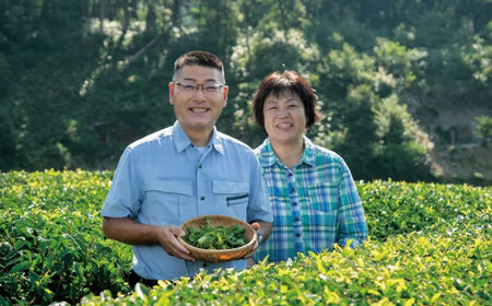 【全2回定期便】奥出雲のスイーツ 美味しいお茶のおやつセット（お茶アイス9個・茶ロールケーキ3本・茶団子5串×2）[AIAY013]