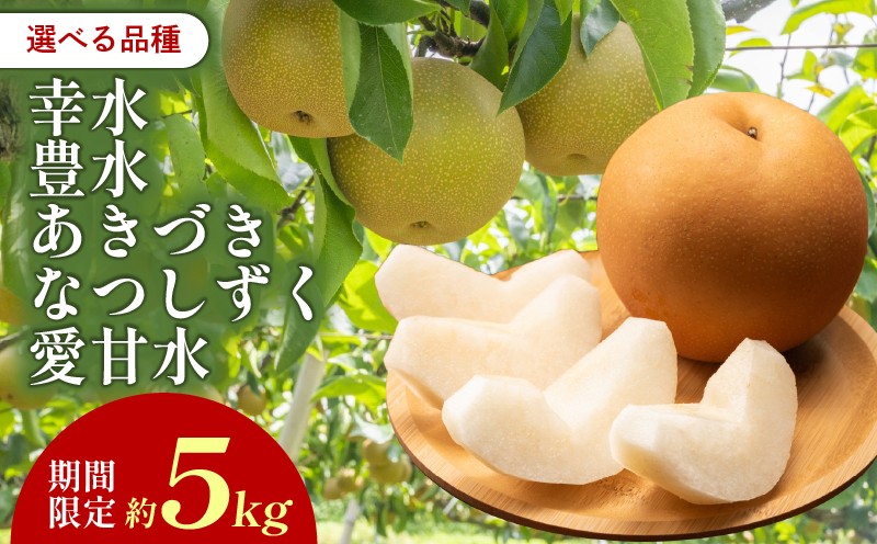 
                  梨 5kg 8～15玉 幸水 豊水 あきづき なつしずく 愛甘水 8月下旬～10月中旬配送 季節限定 果物 くだもの フルーツ 和梨 スイーツ 果実 成果 自然 デザート おやつ 菓子 お菓子 水菓子 ナシ なし 先行予約 期間限定 数量限定 予約販売 旬 食べ頃 時期 常温 常温配送 レシピ ゼリー コンフォート スムージー ジュース ギフト 贈答 井ガシラ農園 奈良県 奈良市 なら
                