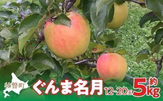＜2025年11月上旬よりお届け＞北海道壮瞥町 りんご「ぐんま名月」12～20玉約5kg SBTF013
