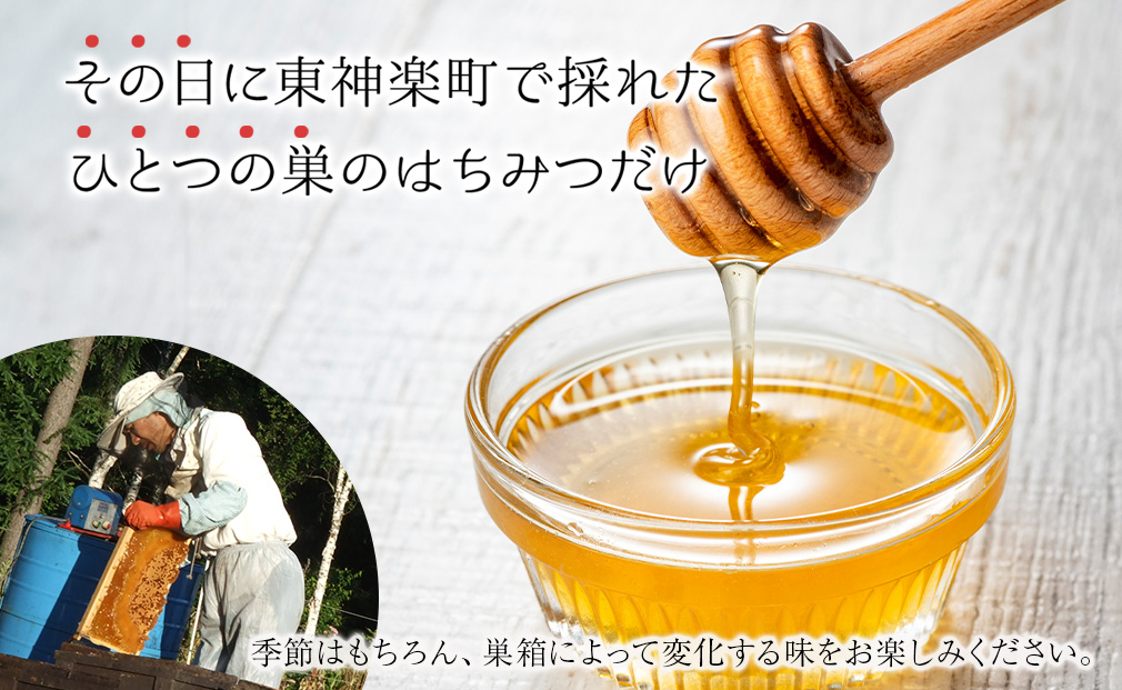 【定期便・頒布会】3ヵ月連続お届け！東神楽産採れたまんまの純粋はちみつ 240ｇ 蜂蜜 ハチミツ