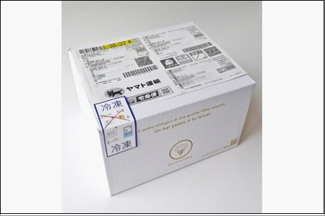 本場イタリア仕込みの本格オーガニックジェラート 10個【福岡市】