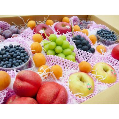 ふるさと納税 長野県 信州うちやま農園のフルーツ詰め合わせ【夏に届く】至福の果実箱E (4〜7種類)シャインマスカット入り |  | 01
